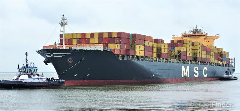 MSC Silvana VIII